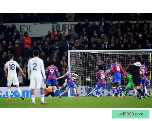 佛罗伦萨伤病困扰科莫状态火热状态如何影响比赛走势